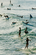 Noosa Lineup