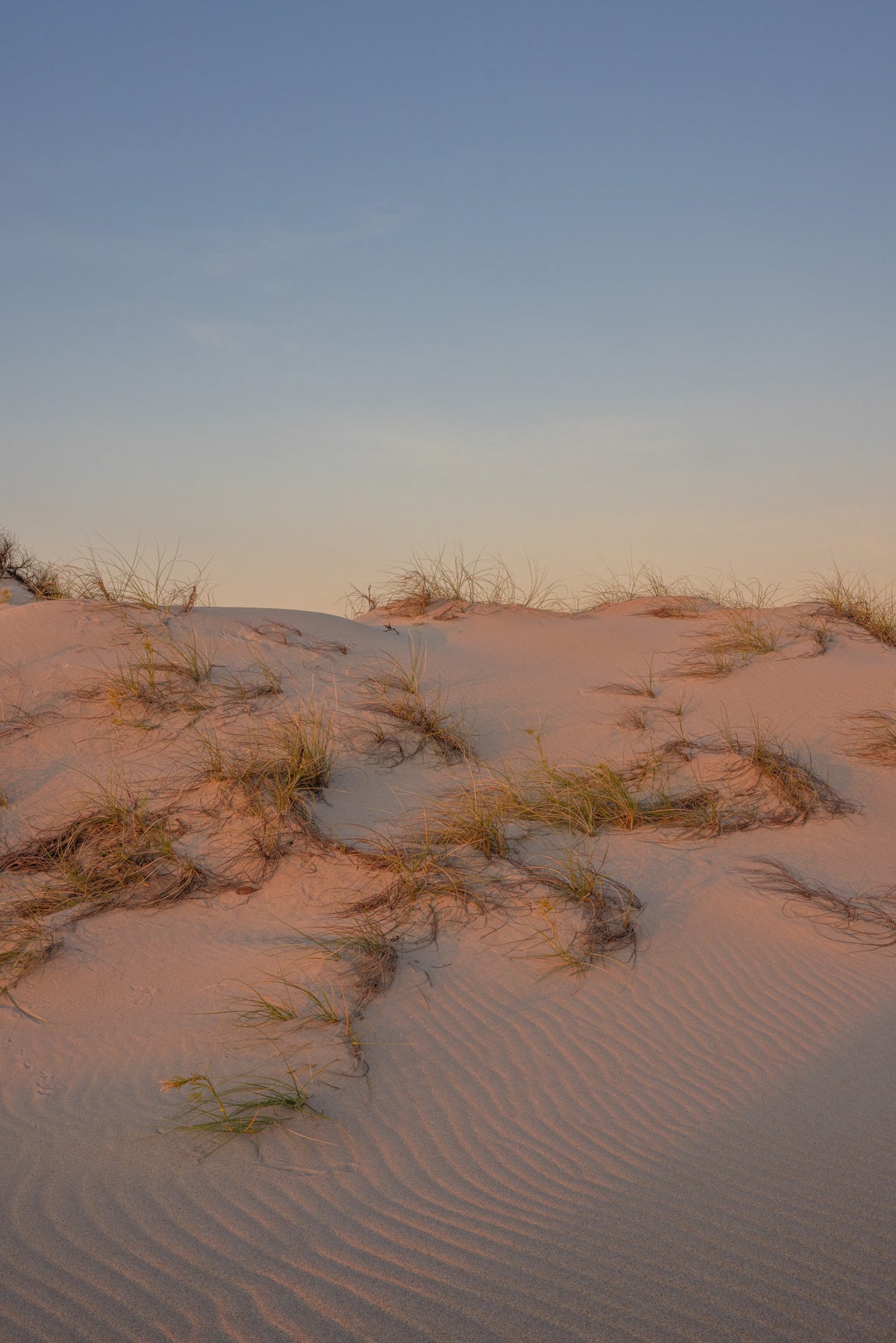 Dune at Dawn