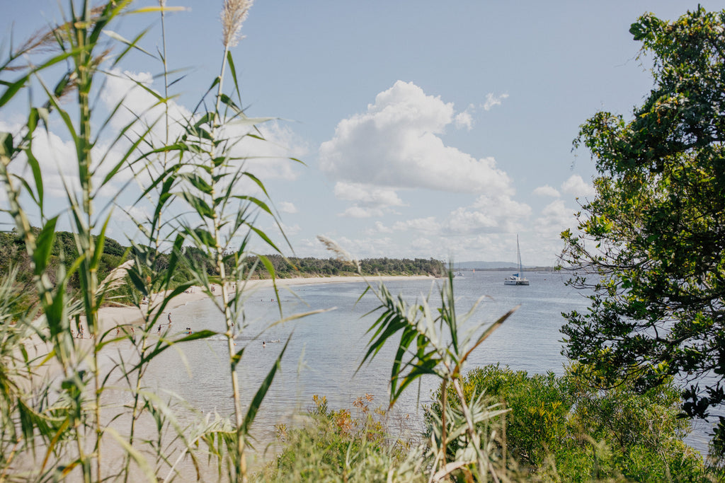 Through the Reeds