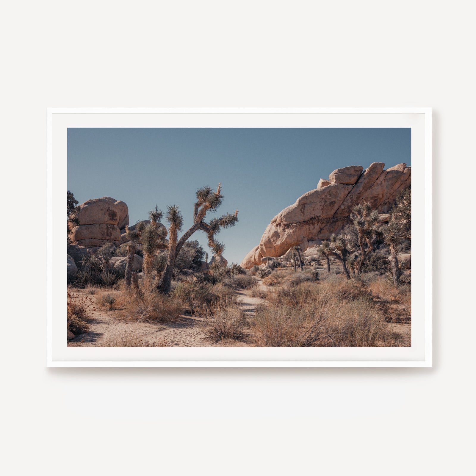 Mojave Reverie I