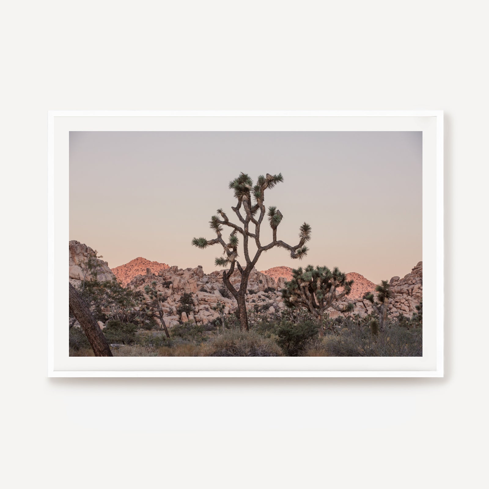 Desert Dusk
