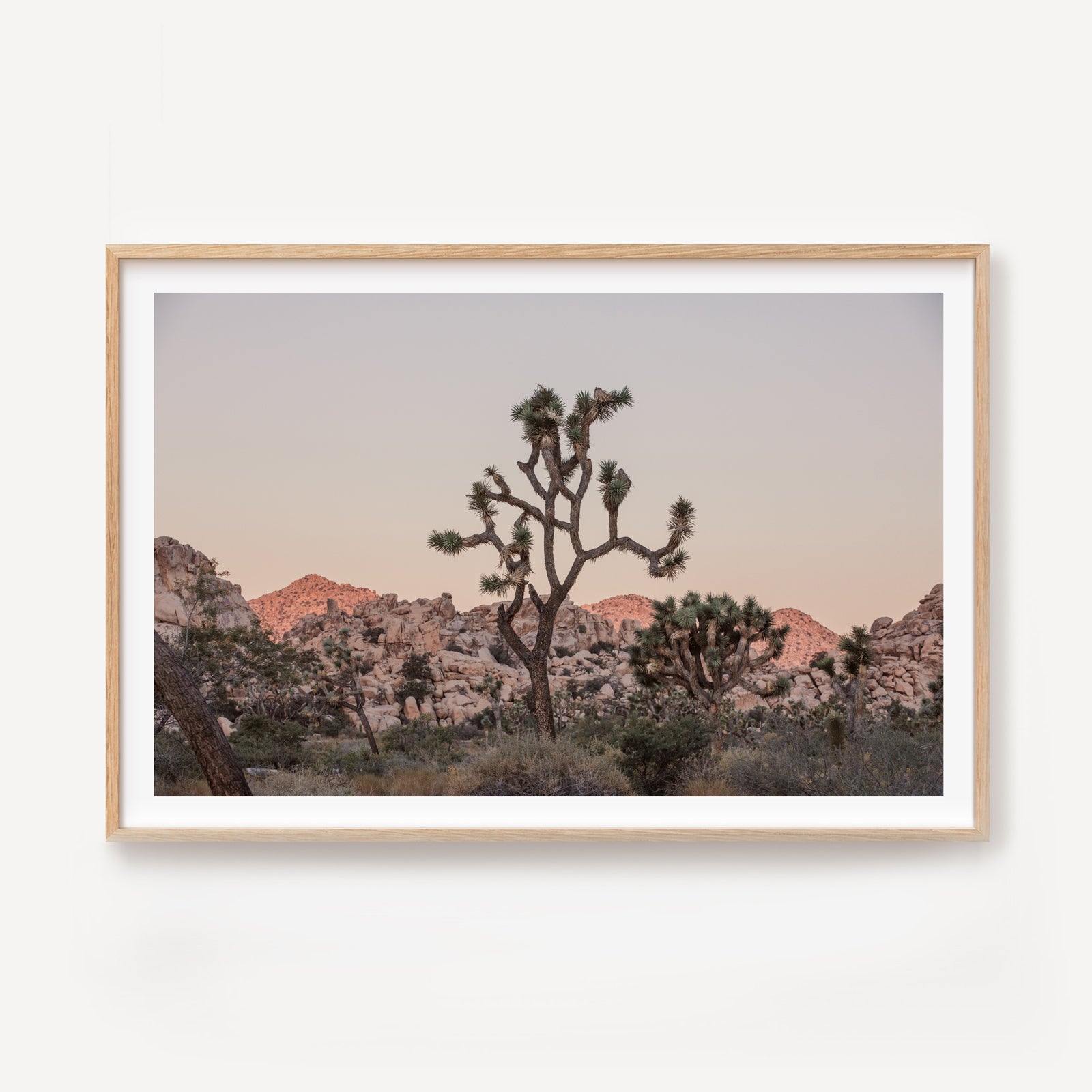 Desert Dusk