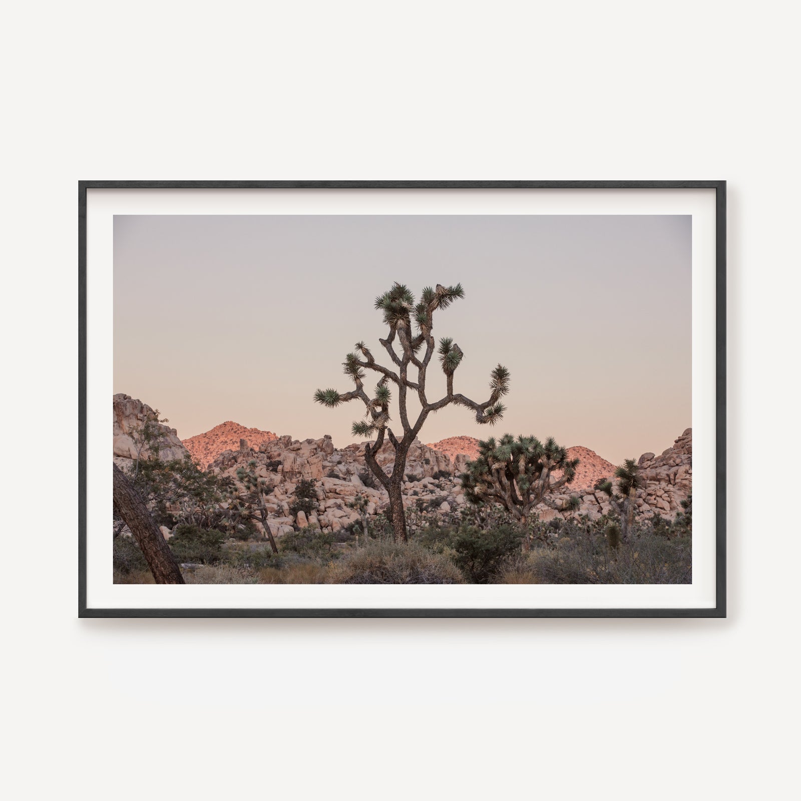 Desert Dusk