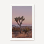 Joshua Tree IIII