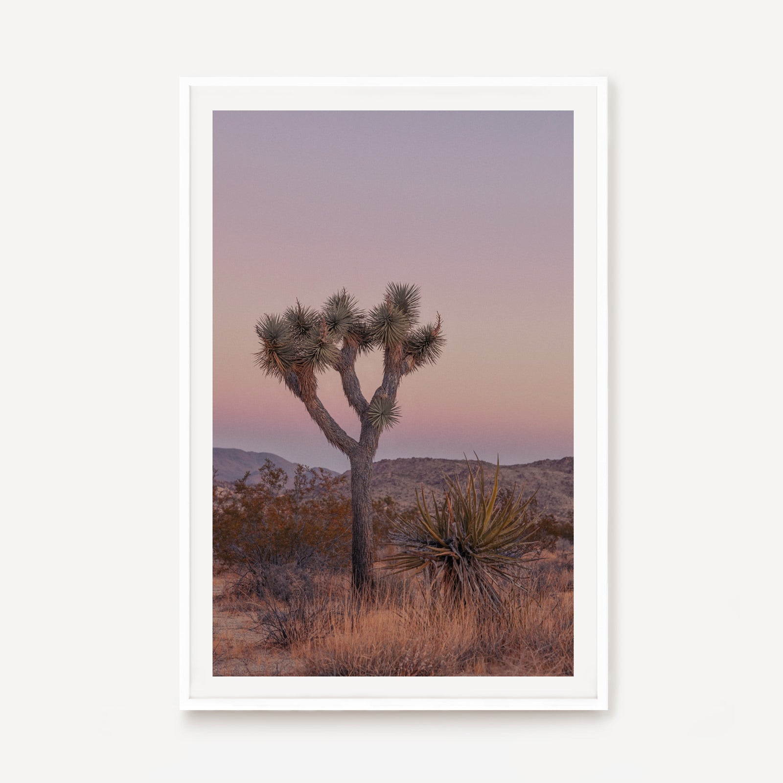 Joshua Tree IIII