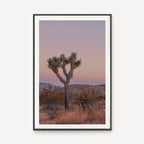 Joshua Tree IIII