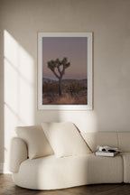 Joshua Tree IIII