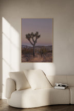 Joshua Tree IIII