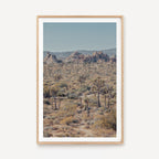 Joshua Tree I