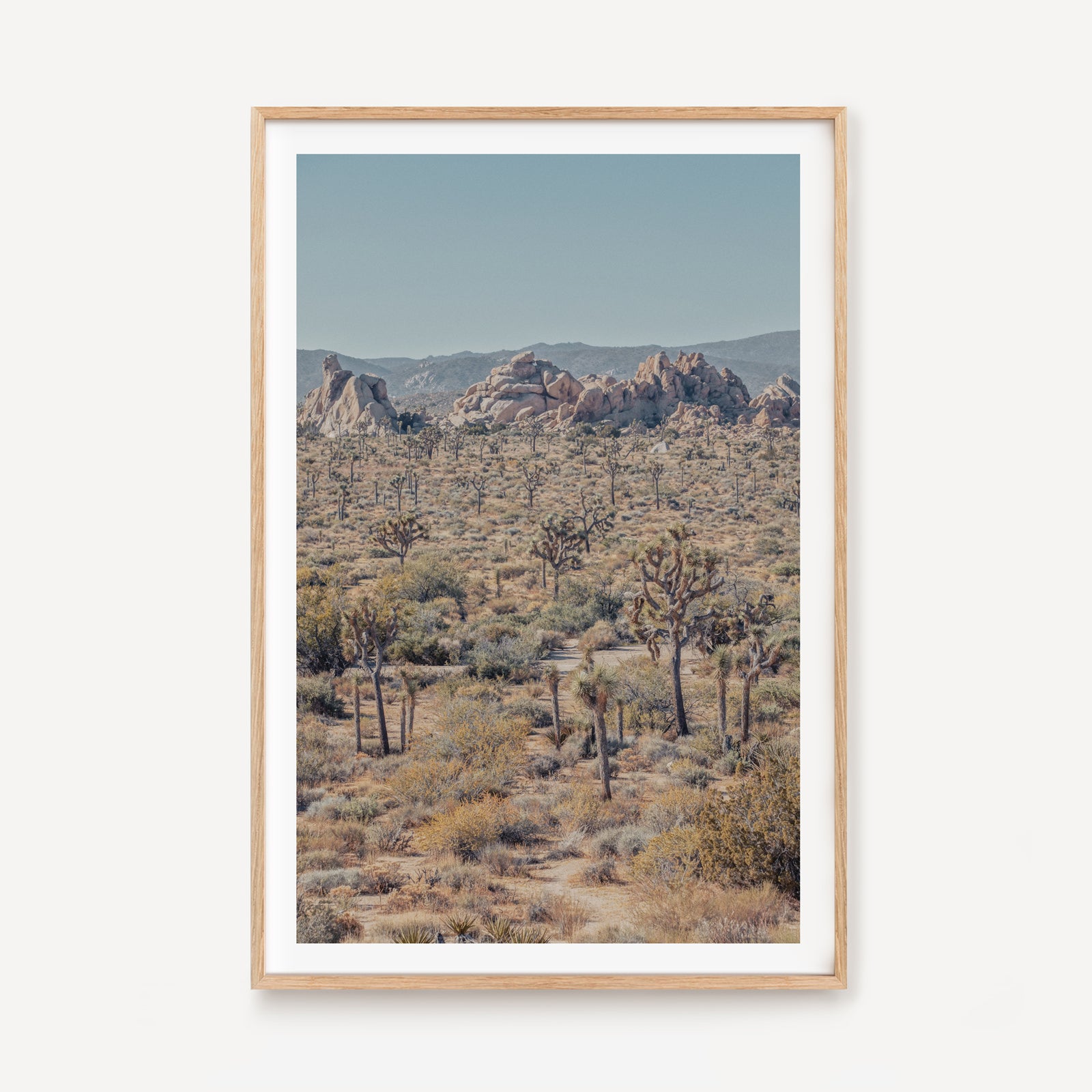 Joshua Tree I
