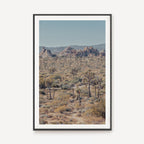 Joshua Tree I