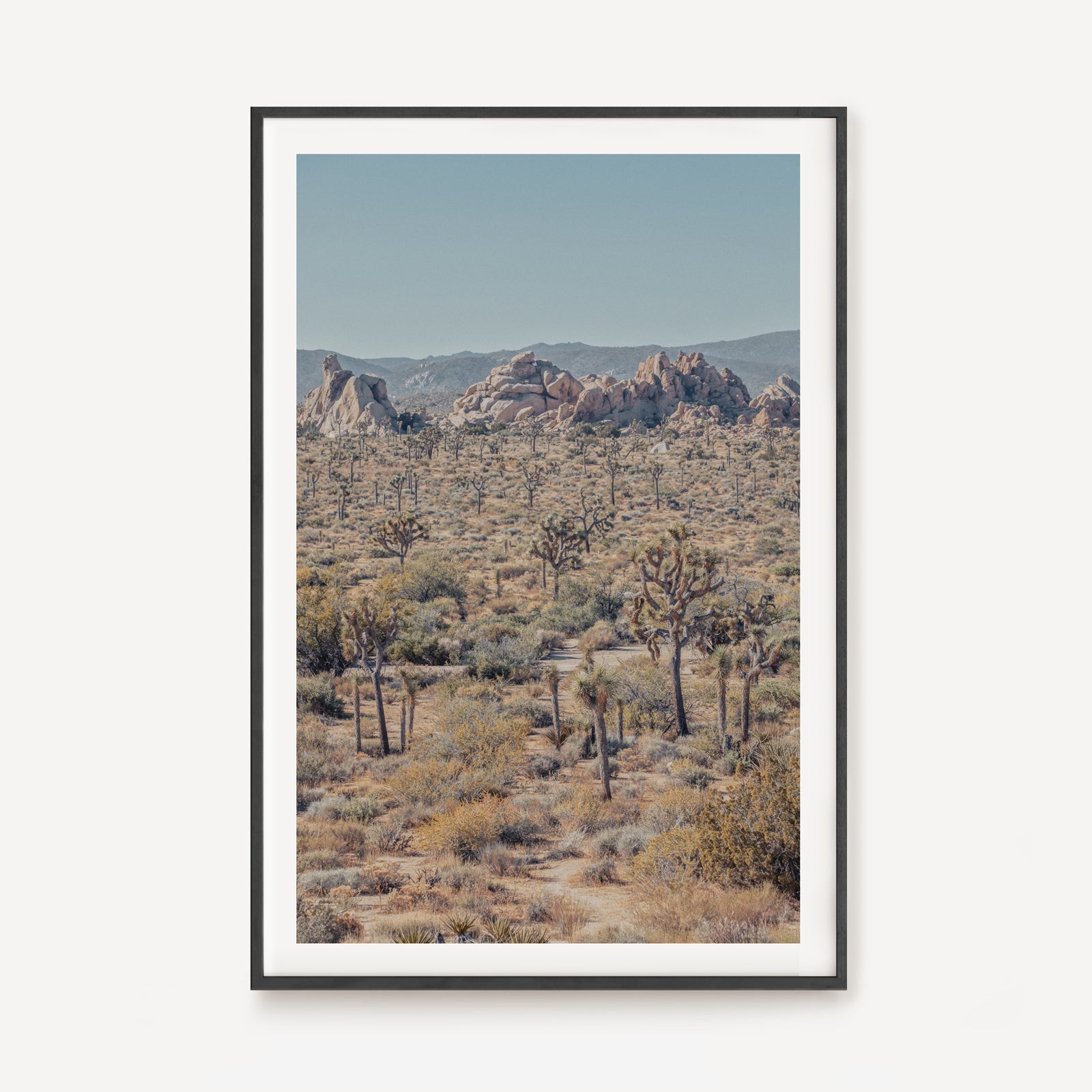 Joshua Tree I