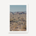 Joshua Tree I