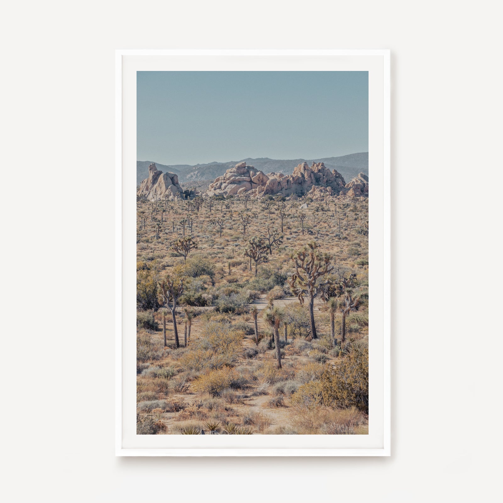 Joshua Tree I