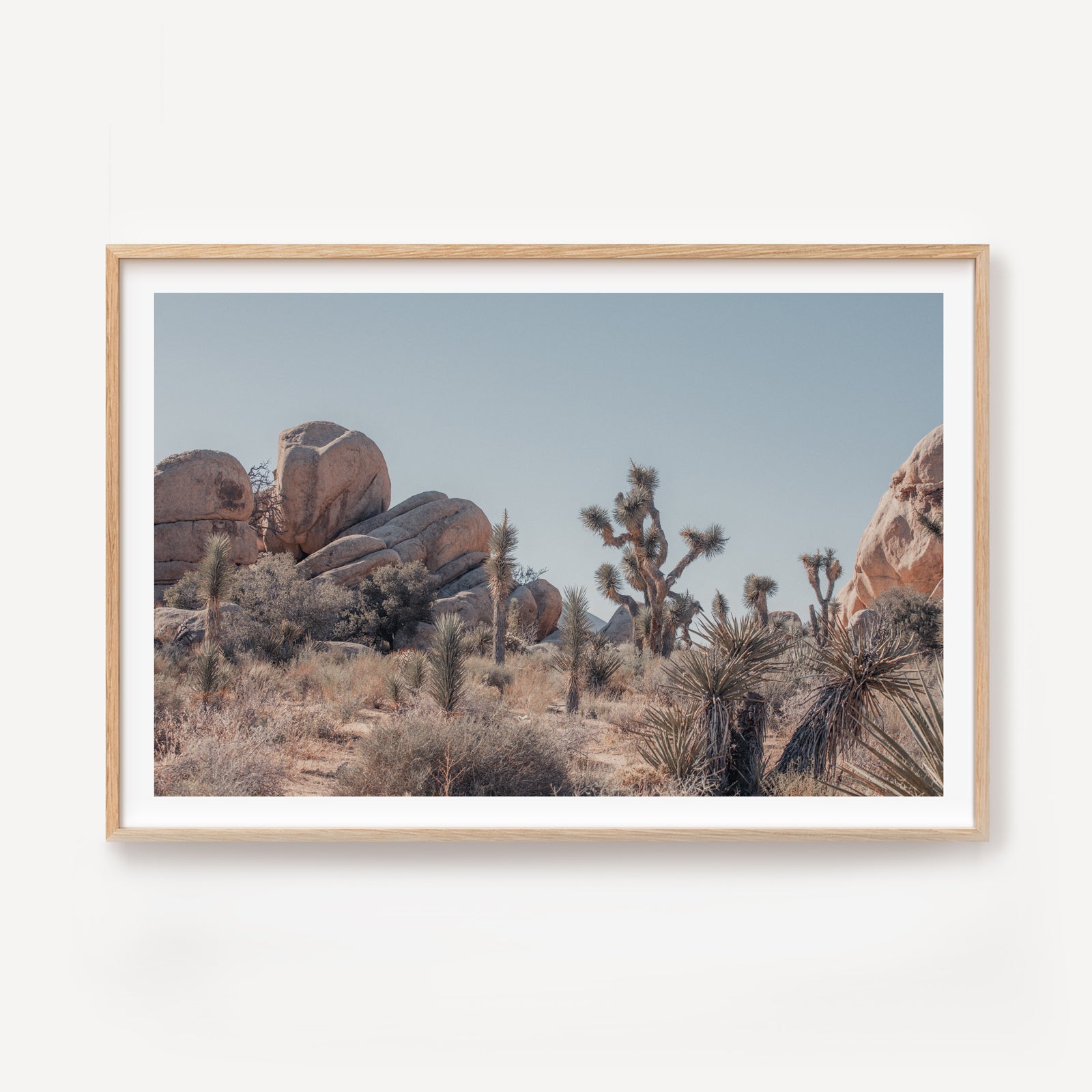 Mojave Reverie II