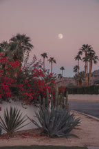 Palm Springs I