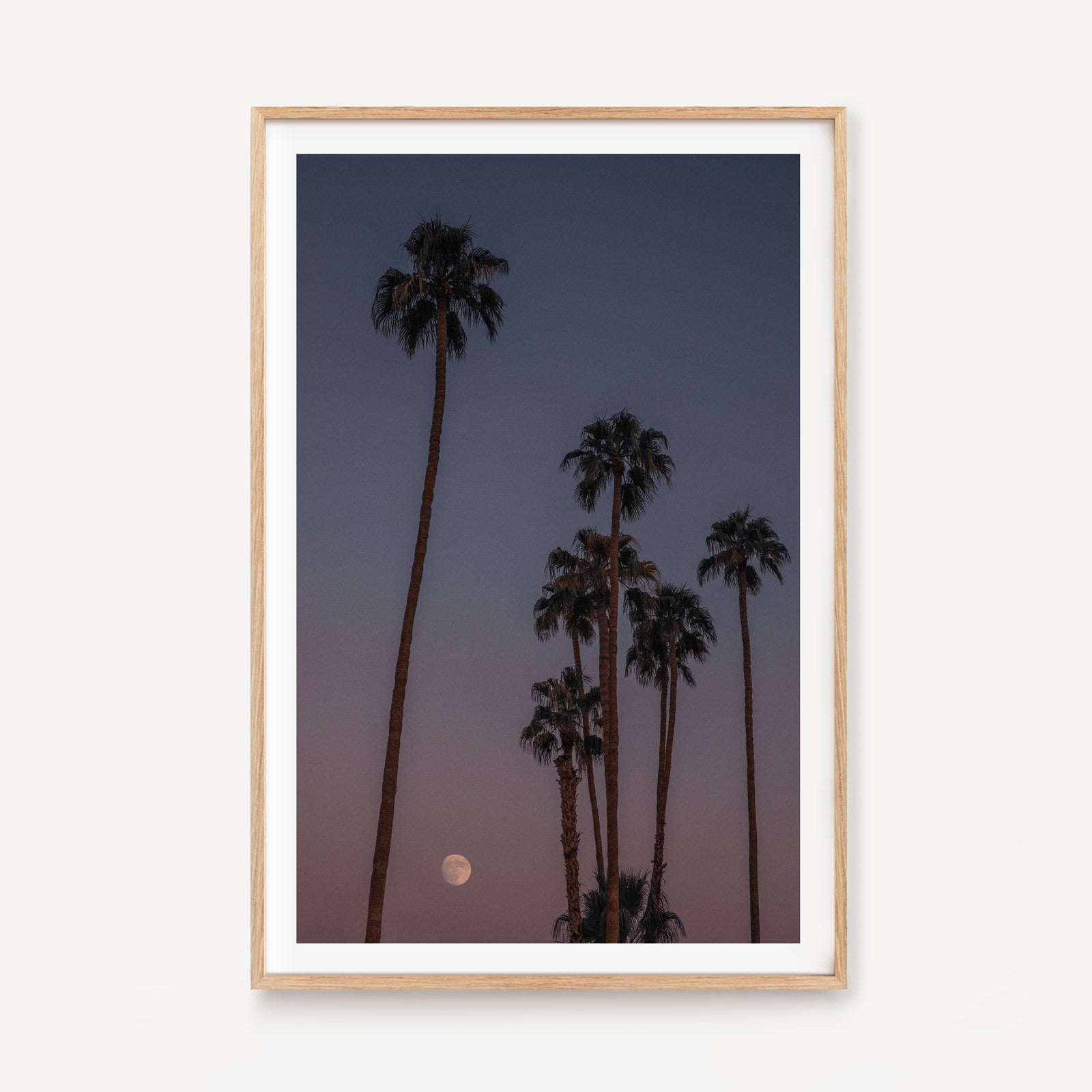 Palm Dusk