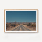 Road Tripping Joshua Tree II