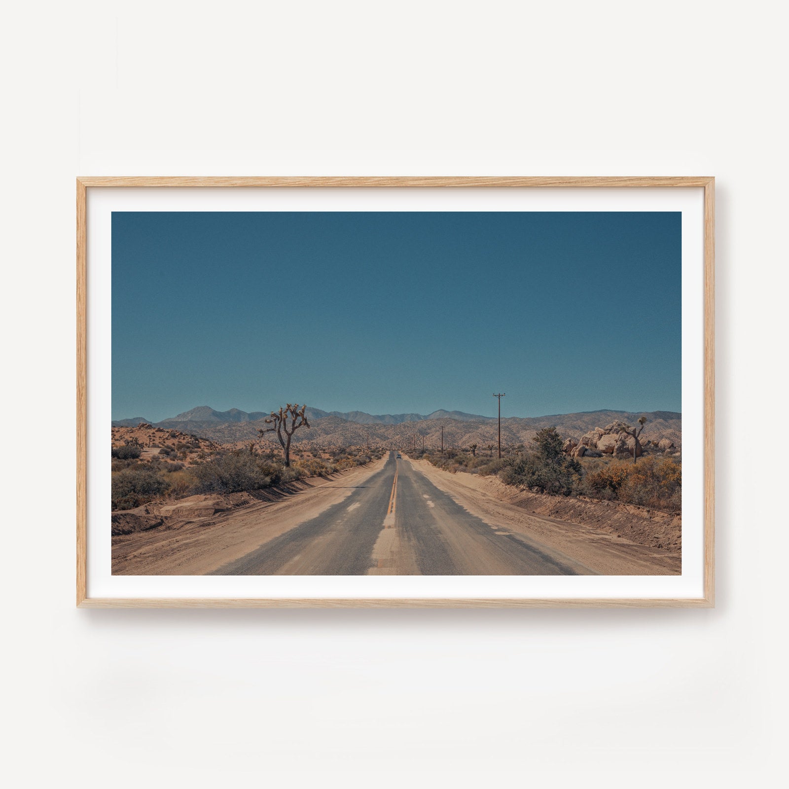 Road Tripping Joshua Tree II