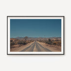 Road Tripping Joshua Tree II