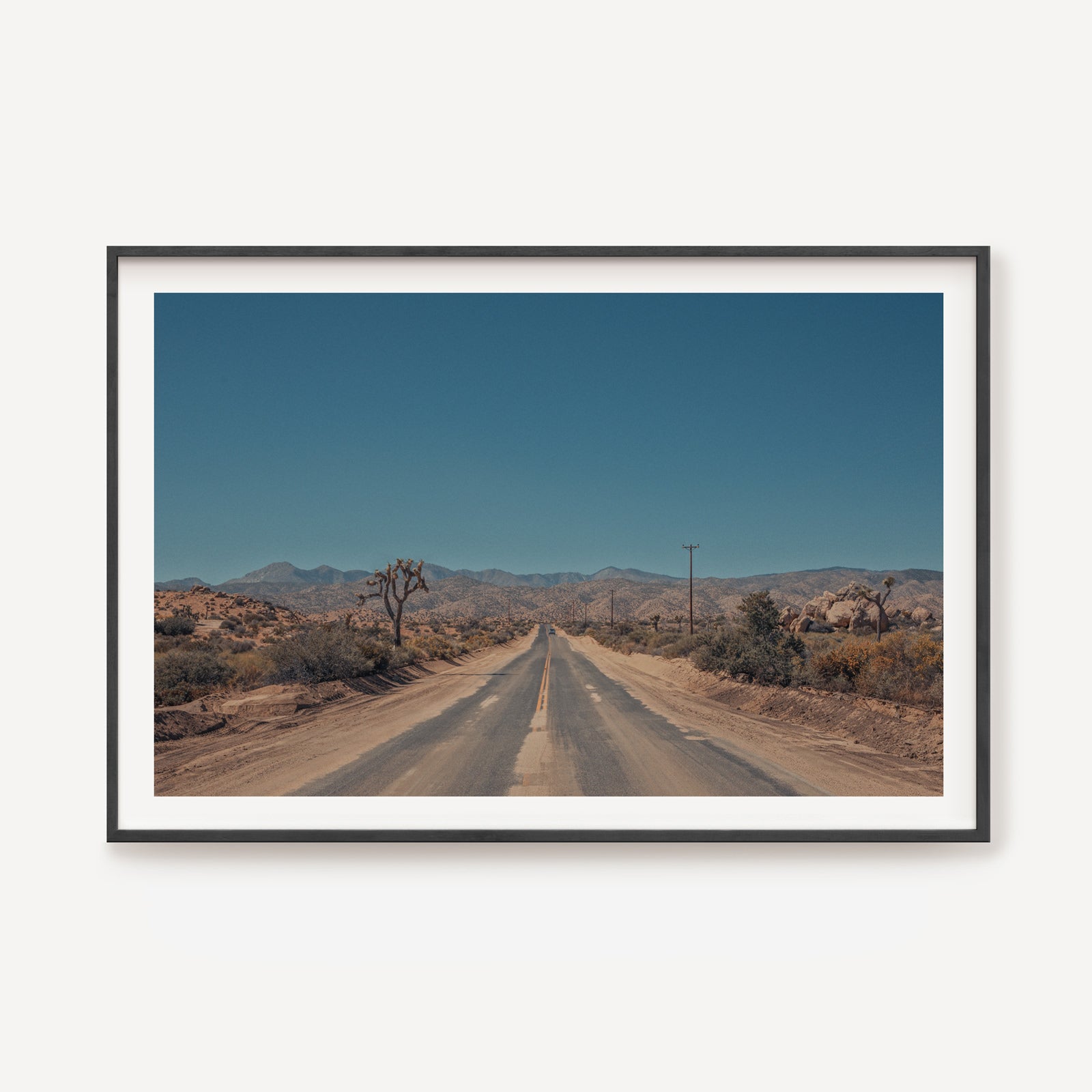 Road Tripping Joshua Tree II