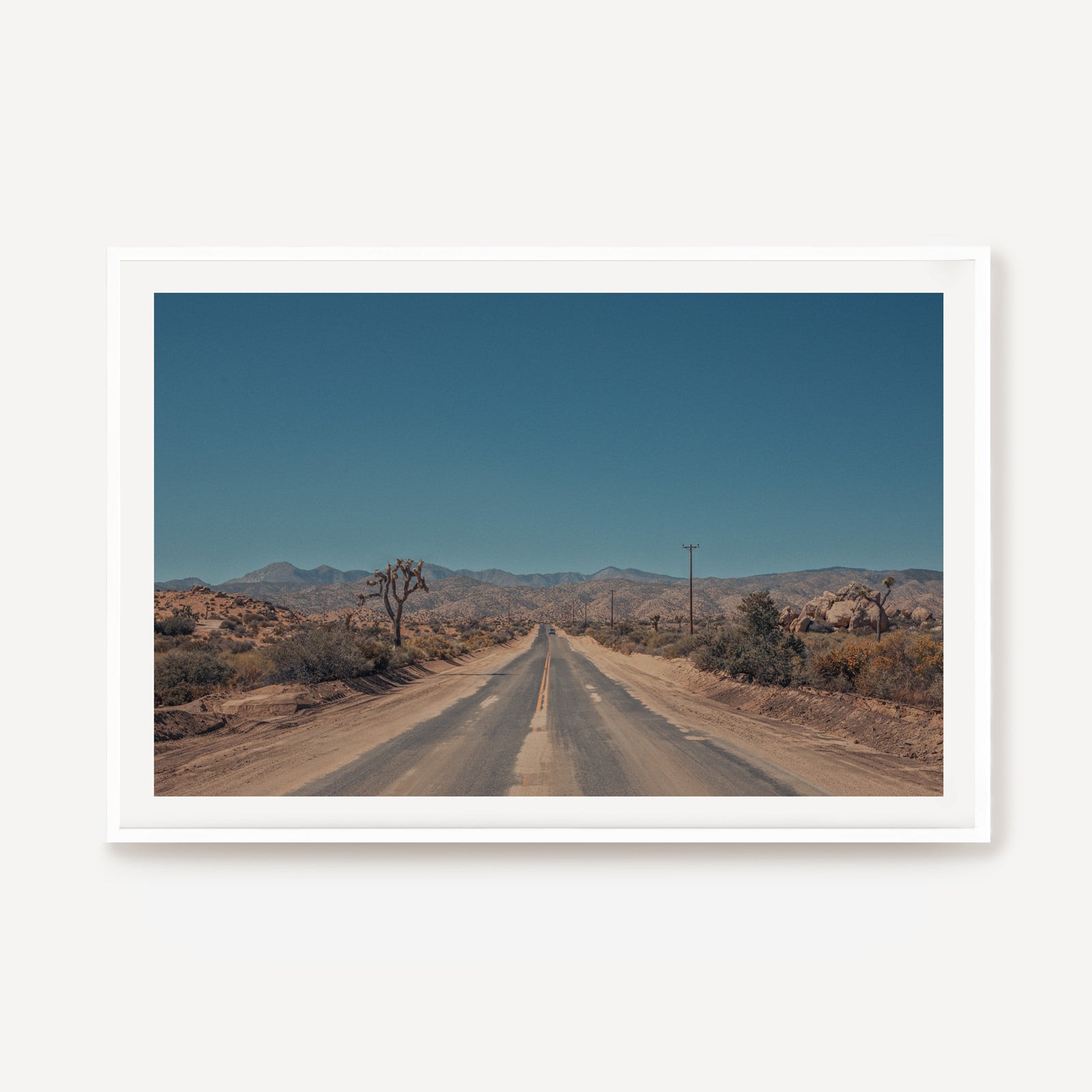 Road Tripping Joshua Tree II