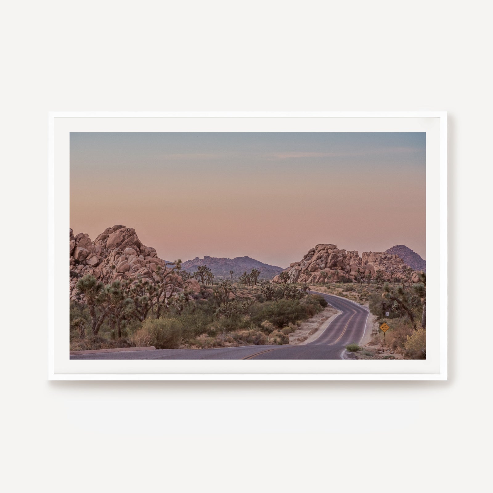Road Tripping Joshua Tree