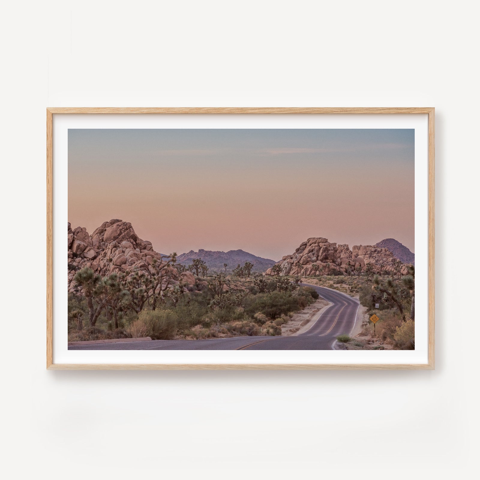 Road Tripping Joshua Tree