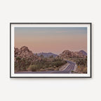 Road Tripping Joshua Tree