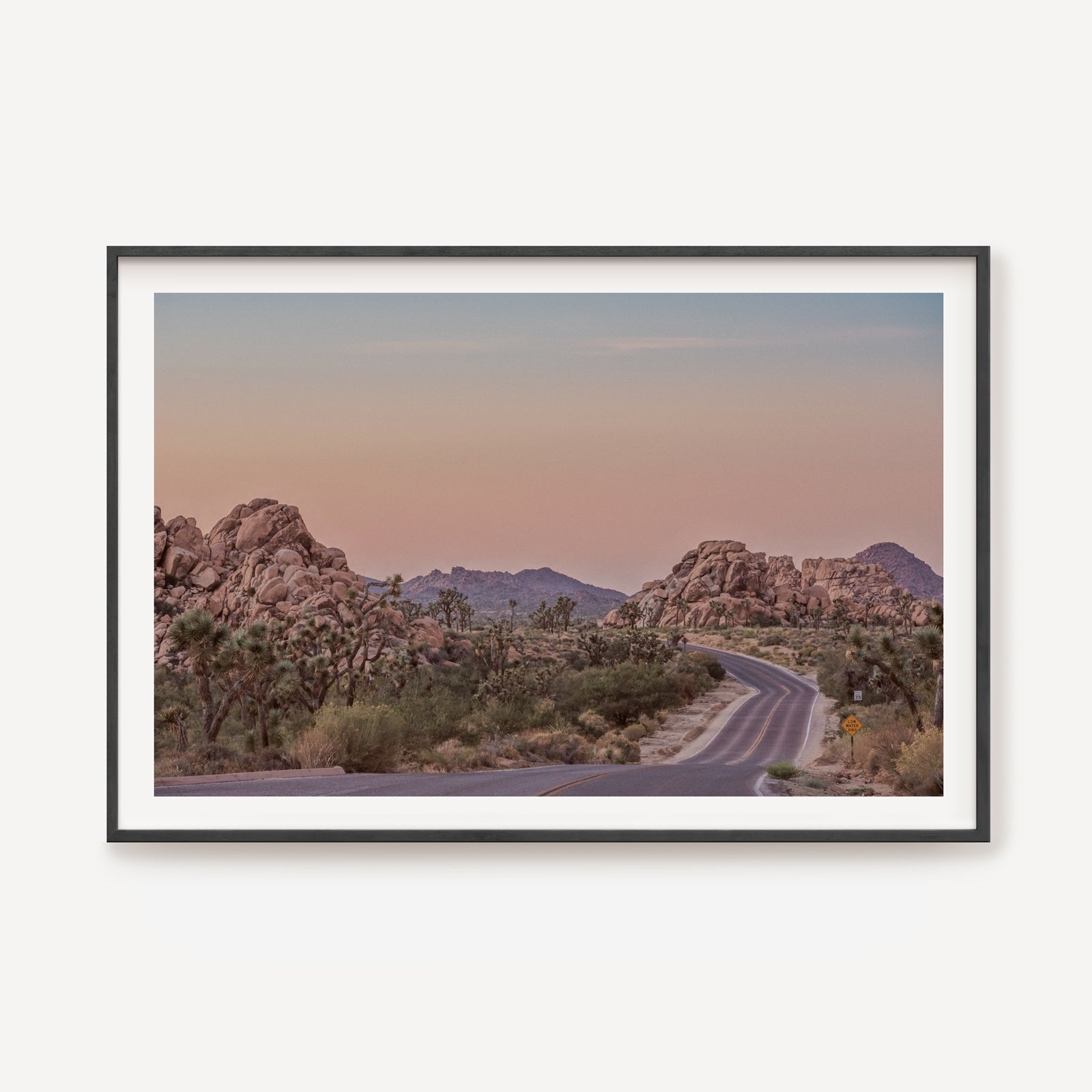 Road Tripping Joshua Tree