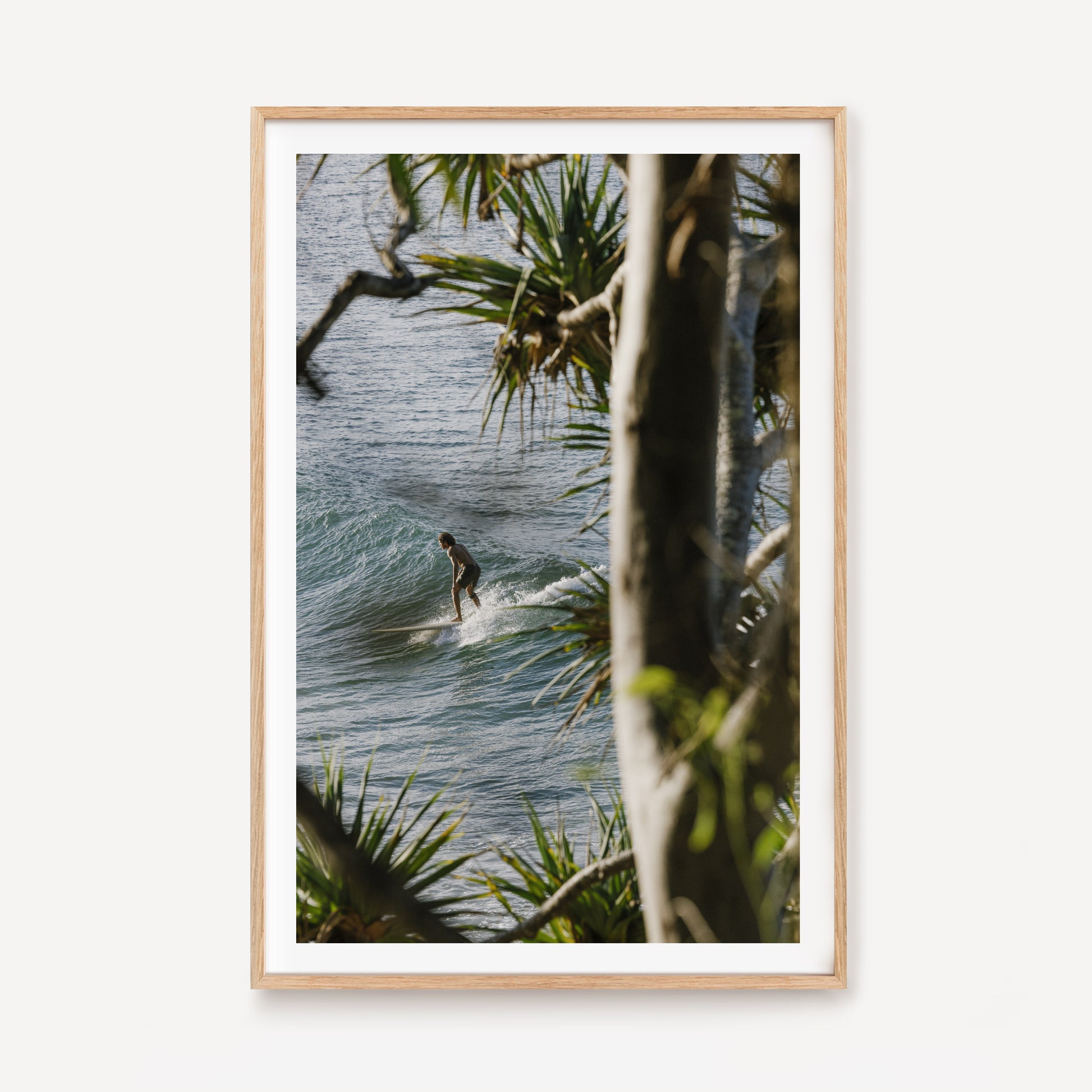 Framed by Pandanus