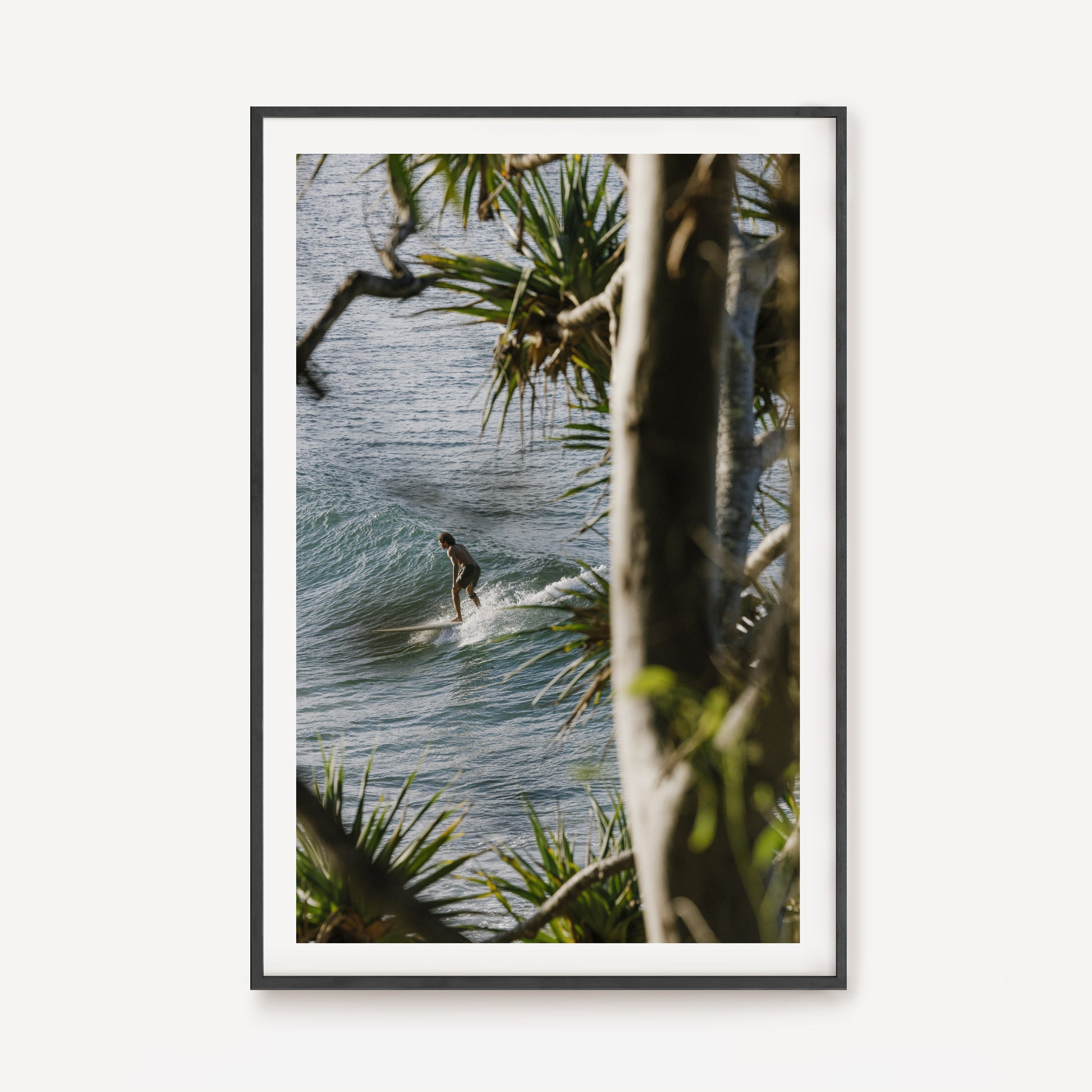 Framed by Pandanus