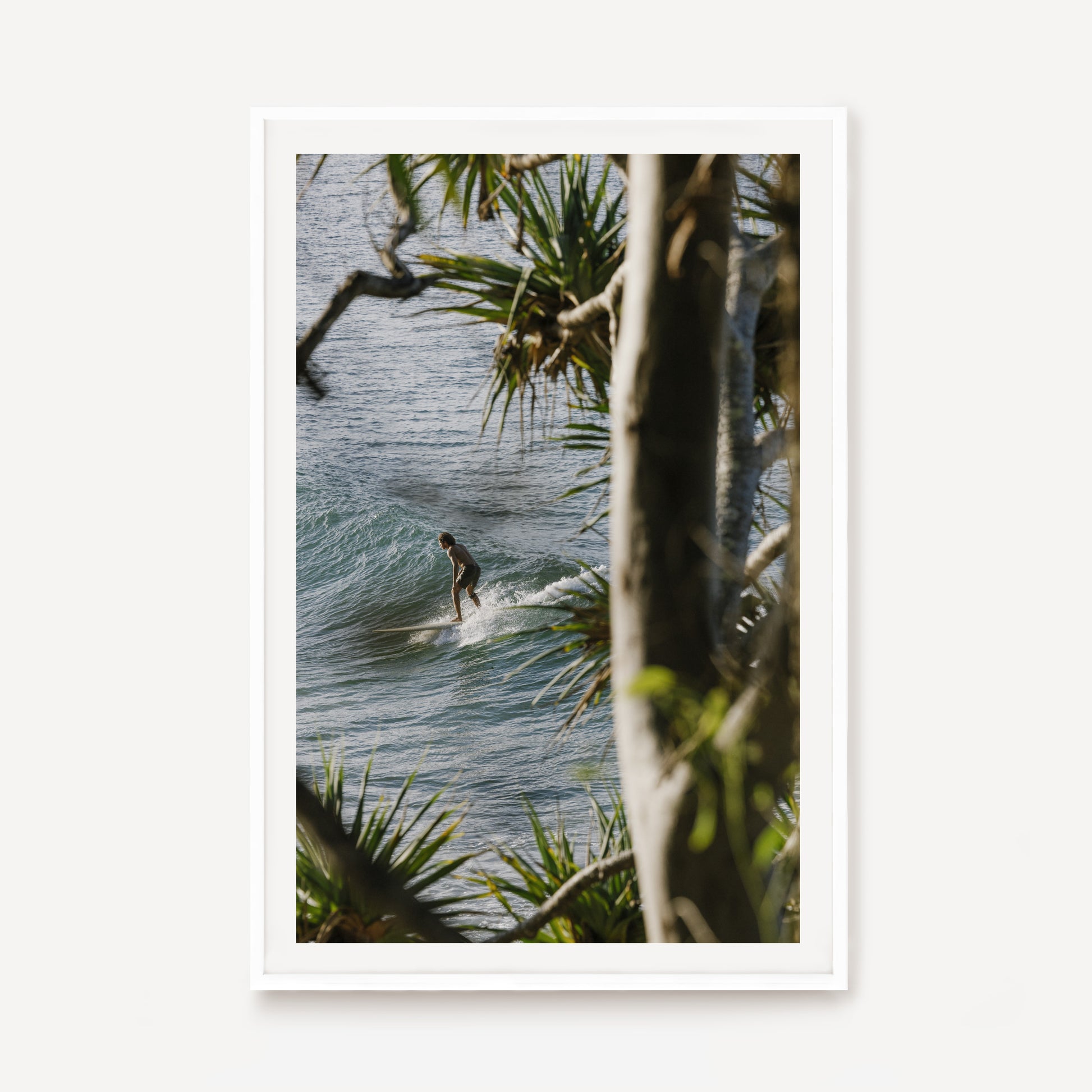 Framed by Pandanus