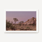Joshua Tree Dusk I