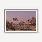 Joshua Tree Dusk I