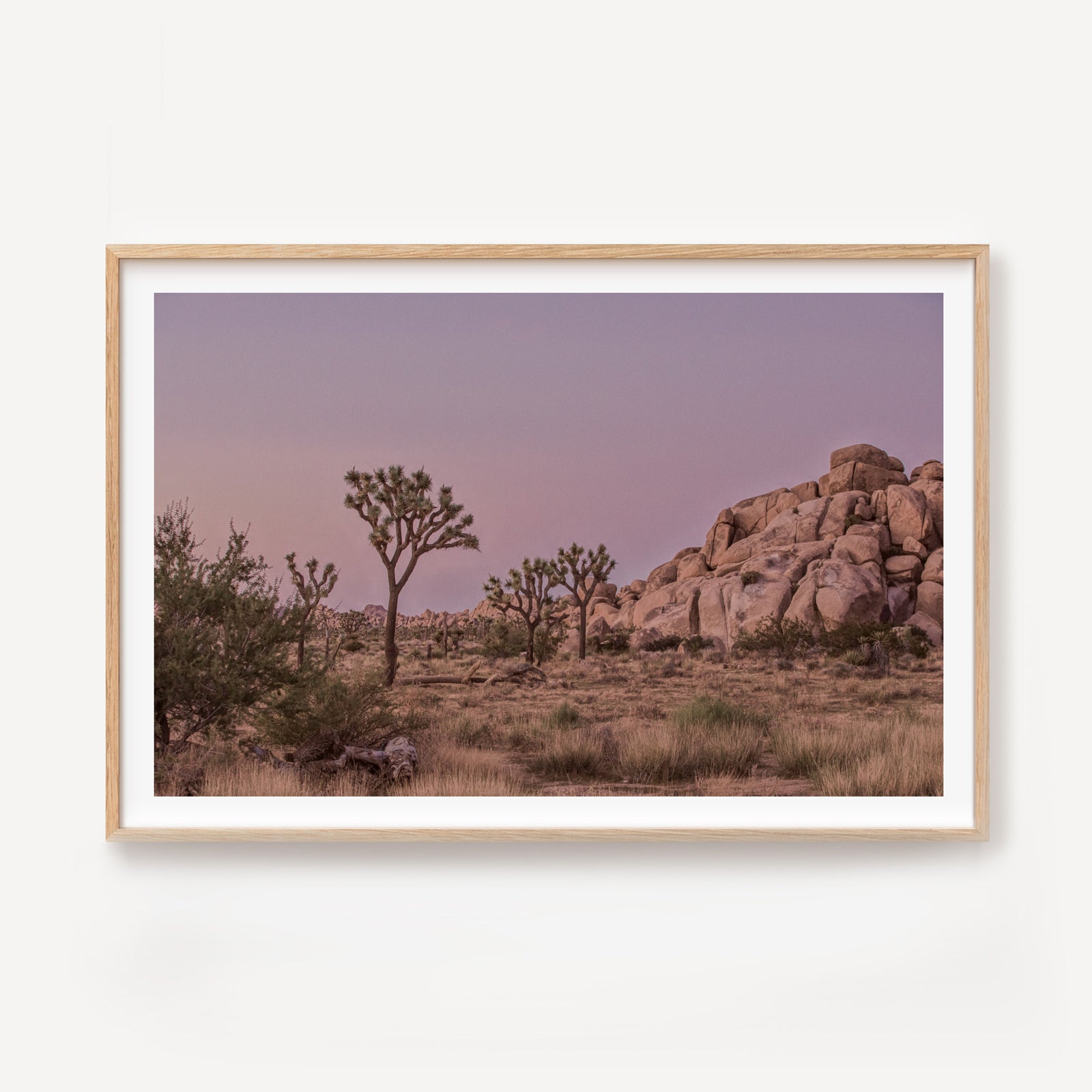 Joshua Tree Dusk I