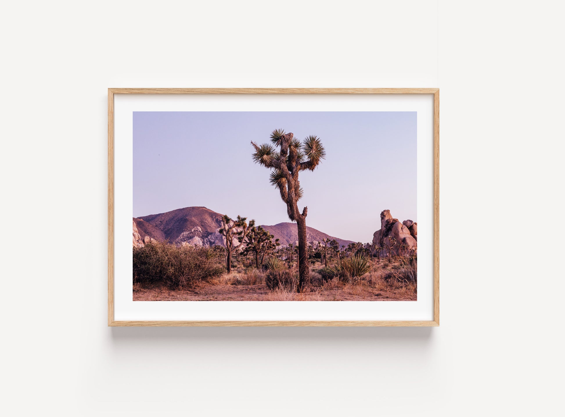 Joshua Tree at Dusk I