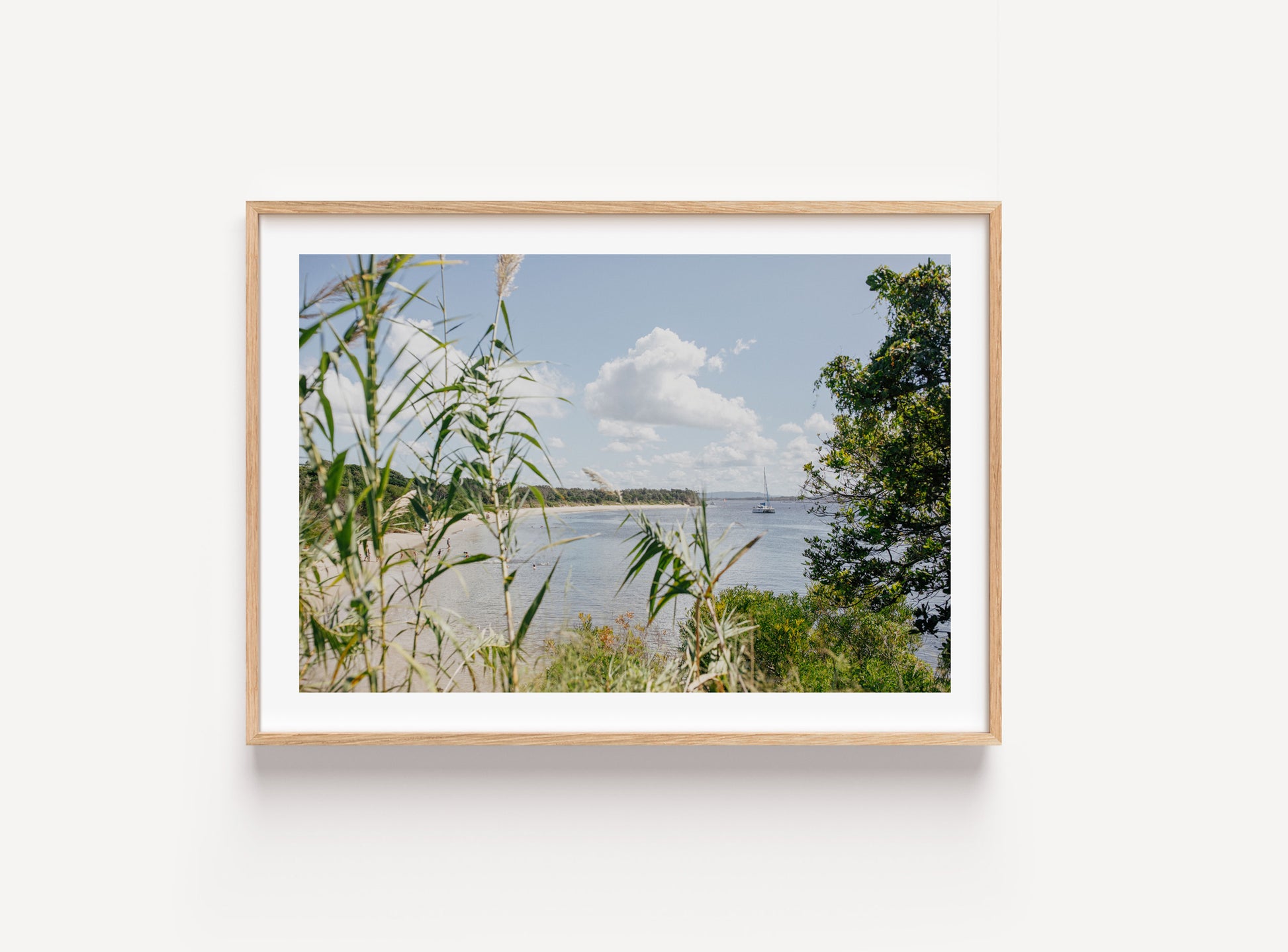 Through the Reeds